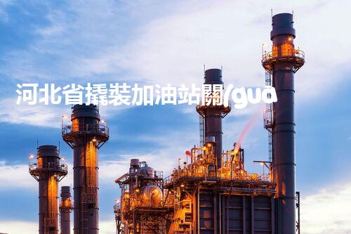 河北省撬裝加油站關(guān)鍵技術(shù)突破！化工廠拆除工程的新方法探索？